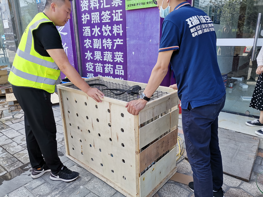 成都酒水航空貨運(yùn)